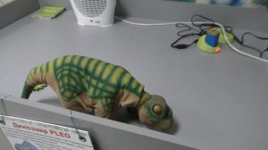 РОБОТИ ТВАРИНИ (Дуже няшне відео) | РОБОТЫ ЖИВОТНЫЕ (Очень милое видео) | Animal Robots | Babasiky