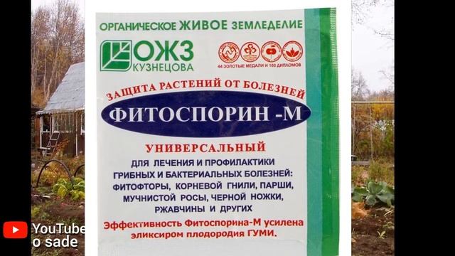 ОСЕНЬЮ ОБРАБОТАЕМ ПОЧВУ ОТ ВРЕДИТЕЛЕЙ И БОЛЕЗНЕЙ! ЭТИМИ МОЩНЫМИ ПРЕПАРАТАМИ!