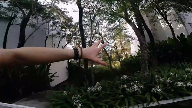 Перелет на Пхукет. В поисках моря. Долгожданные фрукты. смотреть онлайн