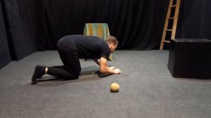 Этюд животное Кот