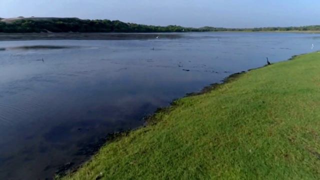 Крокодил - людоед. Густав, его боится вся Африка. смотреть онлайн