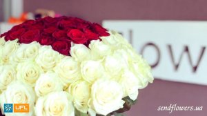 Шикарный подарок на 14 февраля! Букет Королевский - 101 красная и белая роза - букет для любимой!