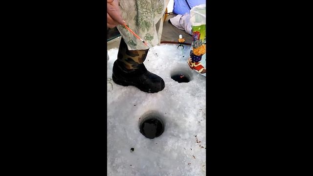 Зимняя рыбалка на Самаркандском водохранилище смотреть онлайн