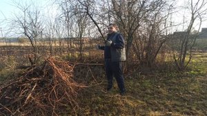 Купили дом в деревне/Убираем участок