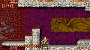 Ghouls'n Ghosts All Bosses (No Damage With Ending) Arcade