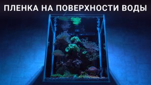 Апгрейд фильтра AQUAEL Versamax FZN-3 и как я избавился от бактериальной пленки на поверхности воды.