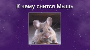 К чему снится Мышь (Сонник)
