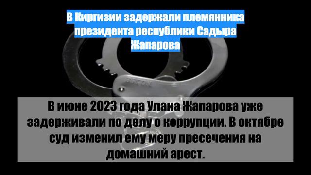 В Киргизии задержали племянника президента республики Садыра Жапарова