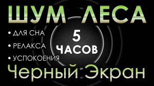 Шум леса, Белый шум, Звуки природы, Пение птиц 5 часов Сладкий Шум для Сна, Релакса, Успокоения