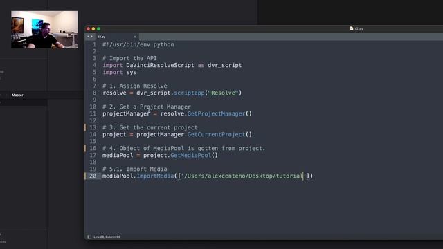 Automate EVERYTHING in Davinci Resolve - Python Tutorial for Beginners with AlexTheCreative смотреть онлайн