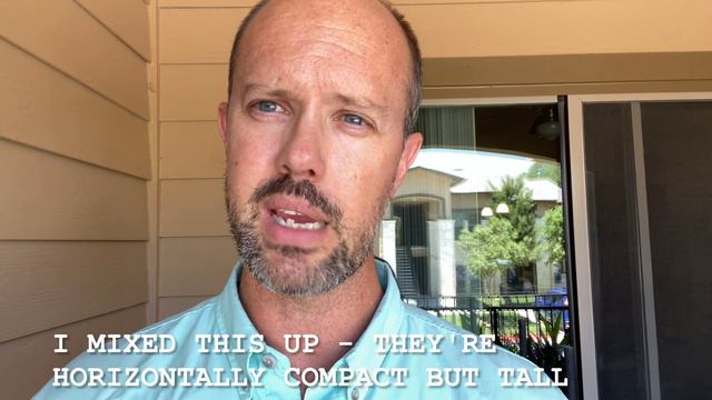 Ansellia africana #carecollab смотреть онлайн