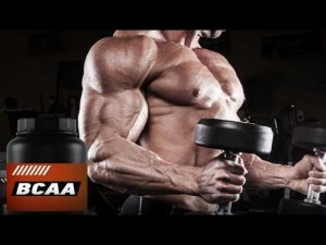 BCAA vs мышечный катаболизм. Кортизол убийца наших мышц и враг натурального бодибилдинга.