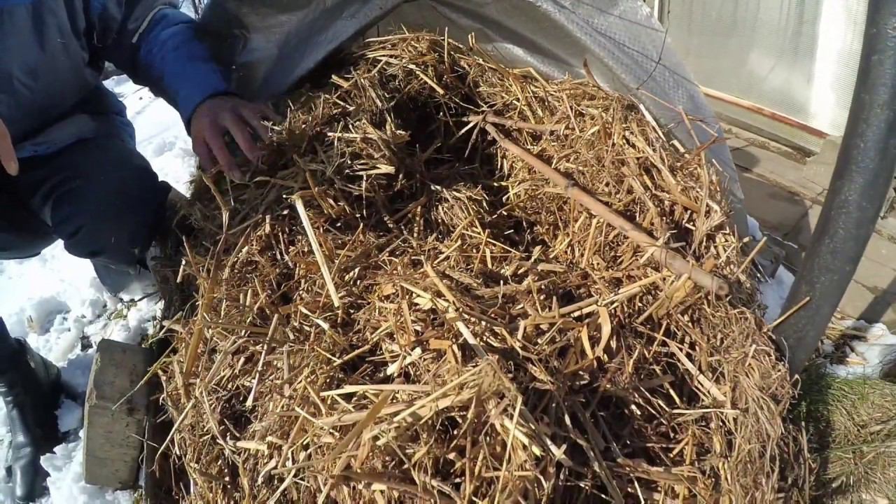 Виноградник ранней весной 2019. Виноградник Вадима Точилина