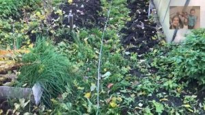 Замена основного провода (кабель ПВС 2*1,5) от дома до бани. Расстояние больше 20 метров!!