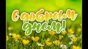Доброе утро! С добрым днём!!!