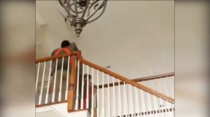 ? Такелажные ремни для грузчиков