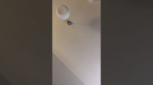 Ugo Foscolo, I Sepolcri, riassunto
