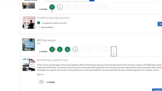 IBM Data Analyst vs Google Data Analytics: Data Visualization and Dashboards with Excel and Cognos