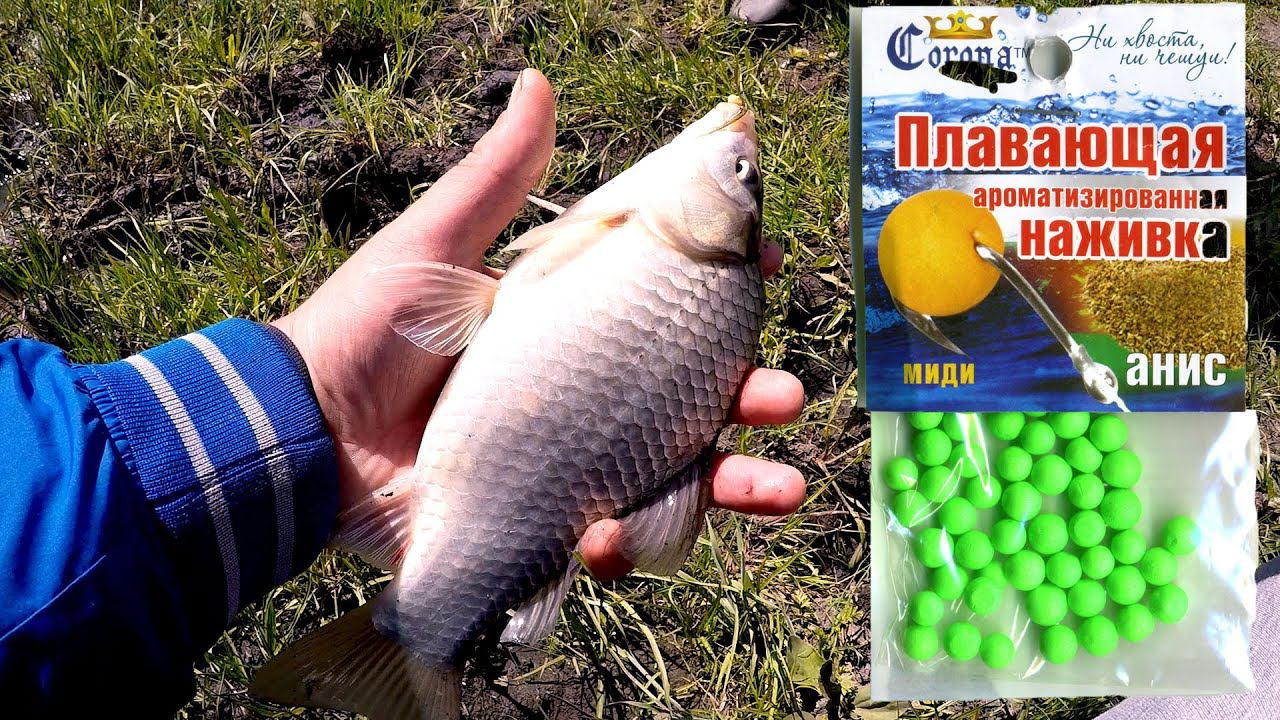 КАРАСЬ на ПЕНОПЛАСТ. Поймал КРАКОЗЯБРУ!! Ловля КАРАСЯ смотреть онлайн