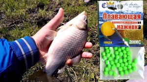 КАРАСЬ на ПЕНОПЛАСТ. Поймал КРАКОЗЯБРУ!! Ловля КАРАСЯ