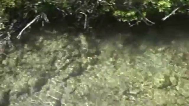 Природа Алтая. смотреть онлайн