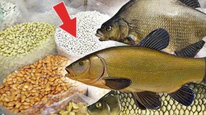 НИКТО И НЕ ЗНАЕТ! А РЫБА КЛЮЕТ НА ЭТО НЕ ХУЖЕ ЧЕМ НА ЧЕРВЯ!!!КАК ЛОВИТЬ РЫБУ НА ФАСОЛЬ?