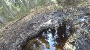 ОТСЮДА БЕРУТ НАЧАЛО БОЛЬШИЕ РЕКИ