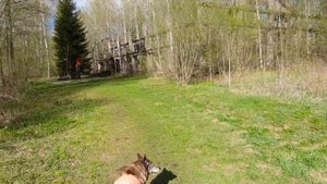 5-й рабочий поселок место прорыва блокады Ленинграда