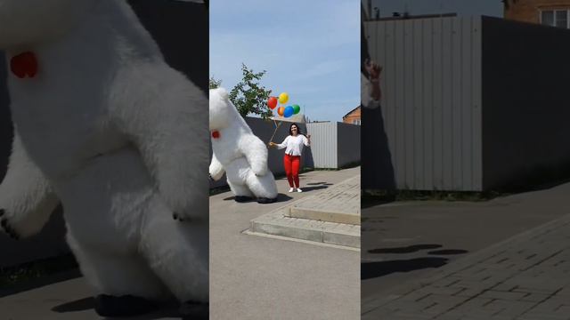 у Мишка есть своя книга жалоб лучьший Мишка это тока @MichkaValera_I_Mash #магнит смотреть онлайн