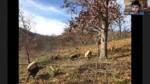 Multi-Species Grazing on the Savanna - Peter Allen, Mastodon Valley Farm