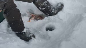 Деревня Черемшанка. Рыбалка на Чусовой. Февраль 2022г.