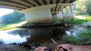 Спиннинг с Лодки. Река переполнена рыбой. Дикие места в Московской области. Рыбалка 2022