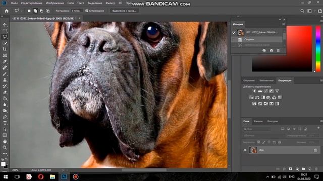 Прямолинейное Лассо фотошоп Урок 10 смотреть онлайн
