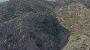 дай лапу перед сном.mp4