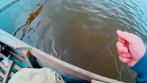 Ловля сома на лягушку. Ловля на квок. Судак. Астрахань