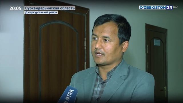 Выращивание оливок в Сурхандарье смотреть онлайн