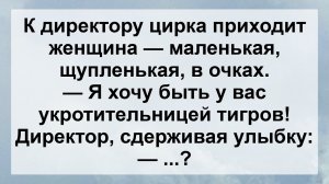 Женщина в Цирке! Самые Смешные Анекдоты для Настроения! Подборка Жизненных Анекдотов!