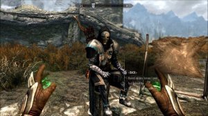 Just the Mod: Amazing Follower Tweaks SE and Extensible Follower Framework