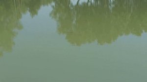 Платная рыбалка в Нижнебаканке.