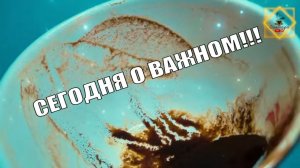 ЭТО ВРЫВАЕТСЯ В ВАШУ ЖИЗНЬ #ответуолятаро #olgabo666888999 #youtubeshorts