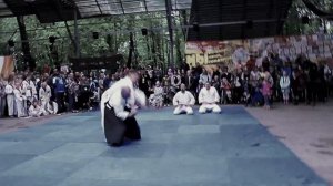 Дайто-рю Айкидзюдзюцу на фестивале "Один в поле воин"