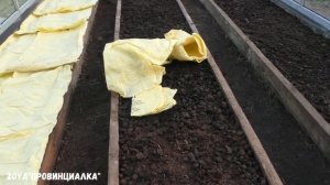 Подготовка-Обработка теплицы осенью/ Подготовка земли к новому сезону/#теплицы #деревня #осень