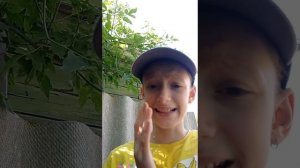 первое видео-влог #1.А4