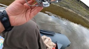 18+ Река Омка, Новосибирская область, щука 4,2 кг. Для этих мест считается трофей😉
