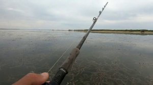 Рыбалка на Змееголова #snakehead