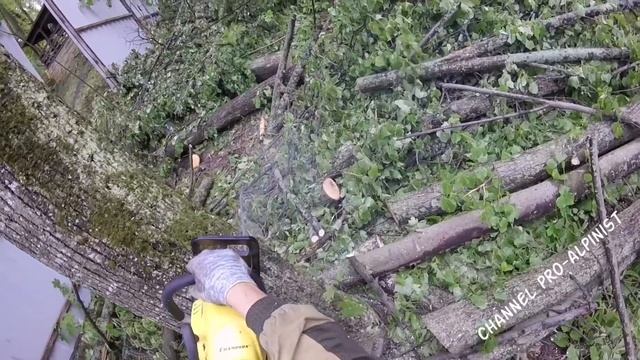 Полиспаст, удаляем аварийное дерево