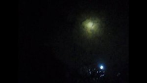 Ловля сома на Волхове