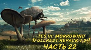 TES III Morrowind [Fullrest repack 4.0+] 📜#22. Собрат аргонианин