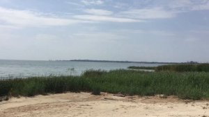 Отдых на Азовском море. Мини пляж в Таганрогском заливе.