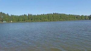 БОЛЬШОЙ УЛОВ | Рыбалка в Нижегородской области Криуша